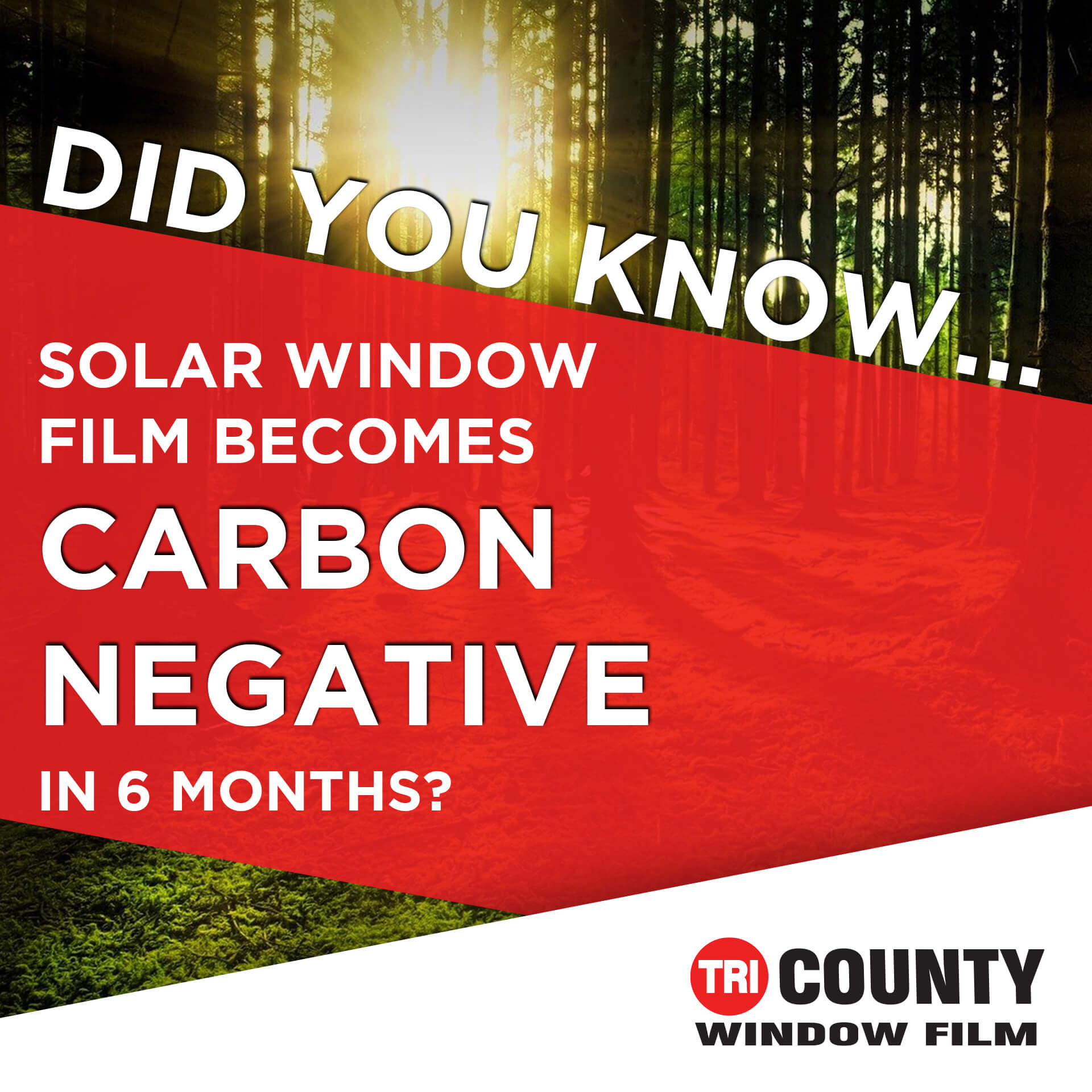 reduce emissions with window film